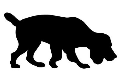 399x247 Blog Copper Canyon Labradoodles