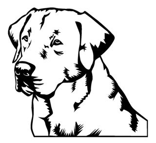 320x293 Labrador Head Decal Sticker