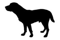 203x135 Labrador Puppy Silhouette Stock Vectors