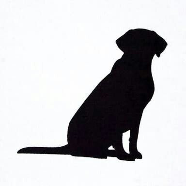 384x384 Labrador Silhouette Animals