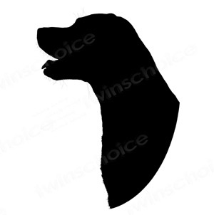 300x302 Labrador Retriever Silhouette