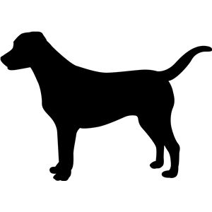 300x300 Silhouette Design Store