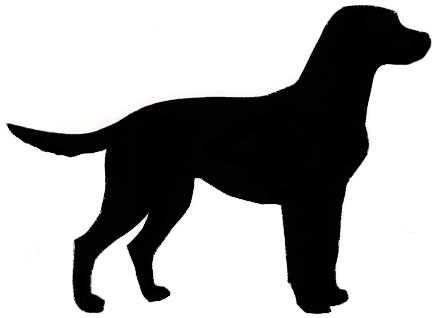 432x318 Greater Swiss Mt. Dog