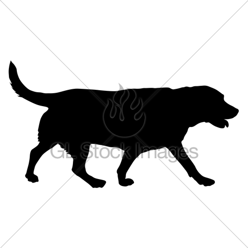 500x500 Labrador Dog Silhouette On A White Background Gl Stock Images