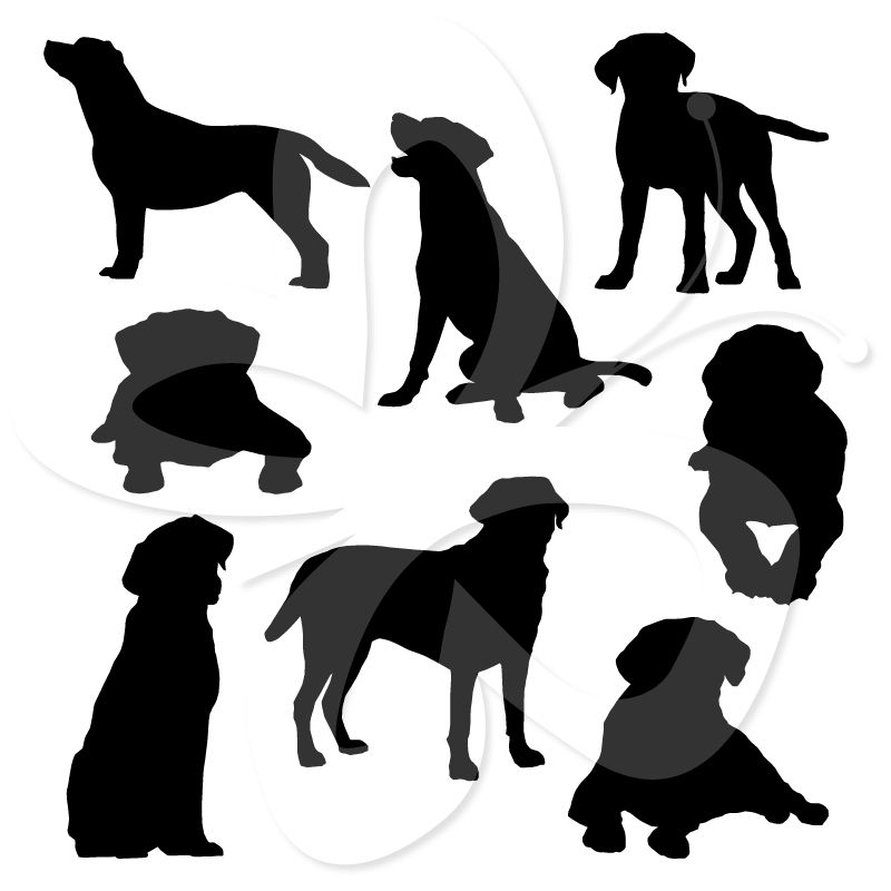 800x800 Labrador Silhouettes Clip Art Wood Carvings And Patterns