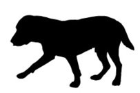 203x135 Labrador Puppy Silhouette Stock Vectors