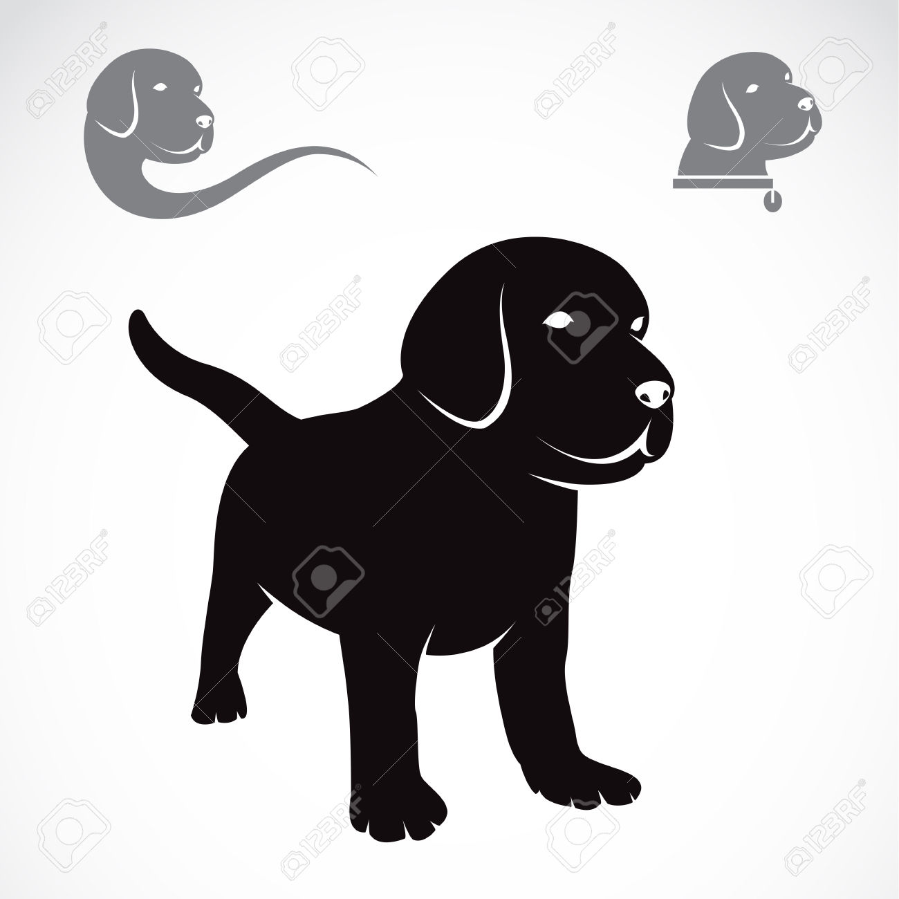 1300x1300 Labrador Retriever Clipart Labrador Puppy