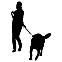 200x200 Free Vector Graphics, Clip Art, Icons, Photos And Images