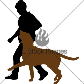 325x325 Lady Heeling Her Sheltie Gl Stock Images