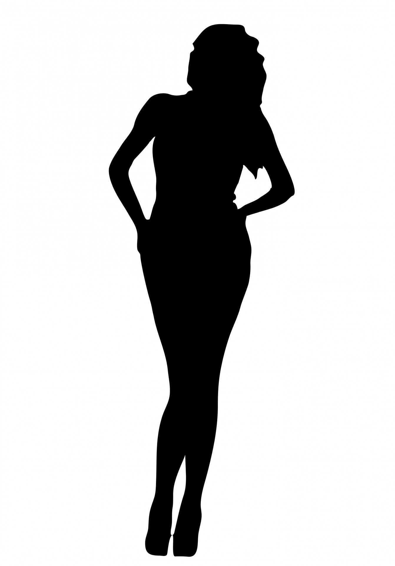 1342x1920 Woman Black Silhouette Free Stock Photo