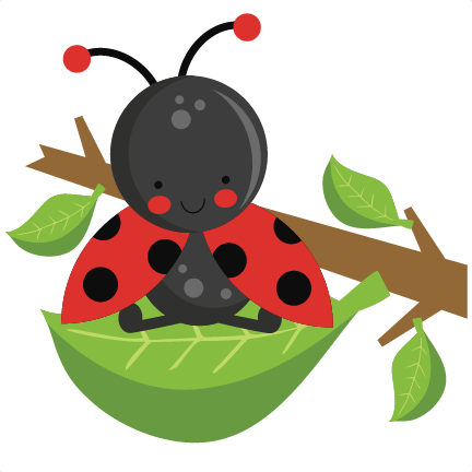 432x432 Ladybug On Leaf Svg Scrapbook Cut File Cute Clipart Files