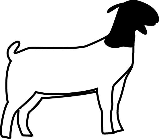 555x483 Goat Silhouette Clipart