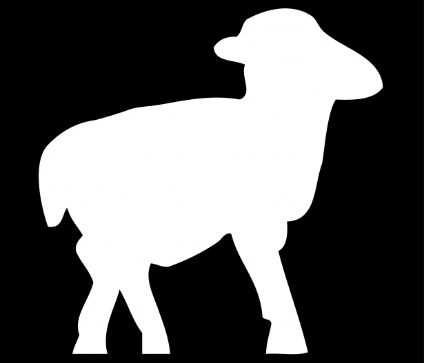 615x527 Lamb, Sheep White Silhouette Free Stock Photo