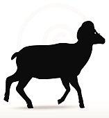 157x170 Sheep Silhouette Seamless Lamb Meat Background Premium Clipart