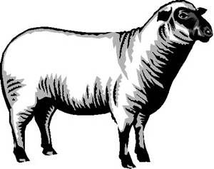 300x237 Suffolk Clipart