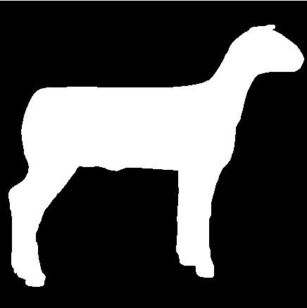 436x437 Club Show Lambs Clipart 315 6 Inch Sheep.jpg (11040 Bytes