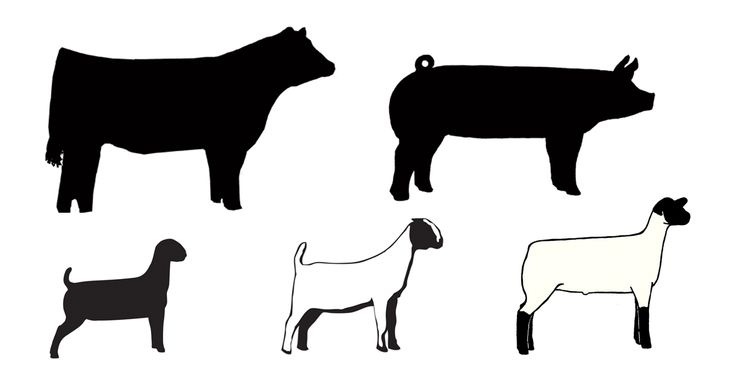 736x385 Calf Silhouette Clip Art