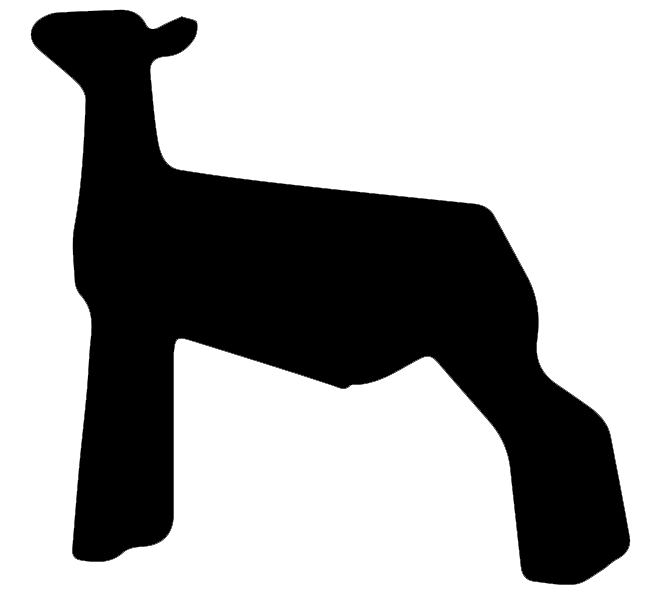 650x600 Free Show Lamb Clip Art Sheep Graphics Clublamb Images