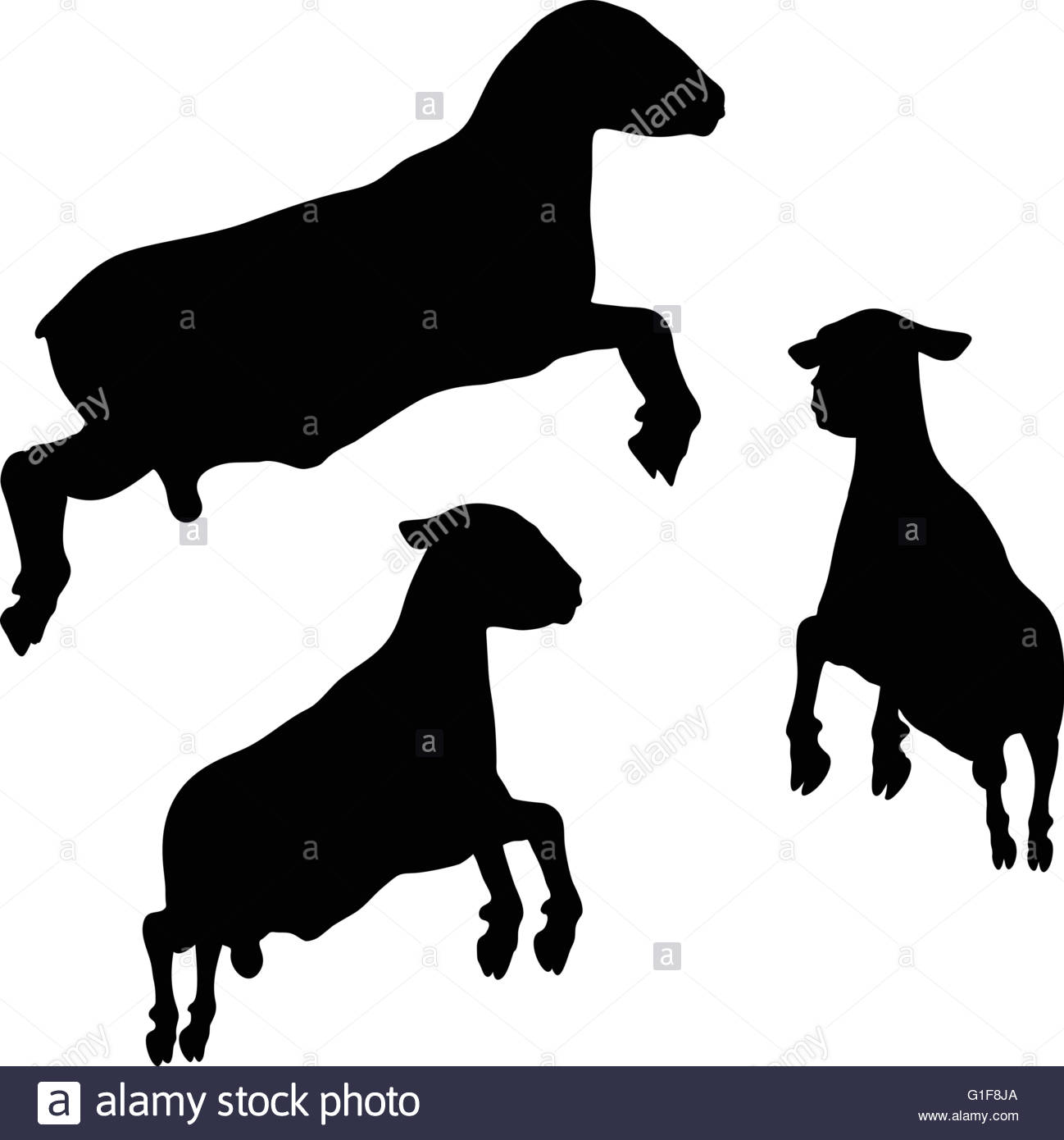 1298x1390 Sheep Cut Out Black And White Stock Photos Amp Images