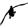 120x120 Duck Silhouette Stencils Free Printables