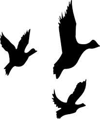 206x245 Flying Duck Silhouette