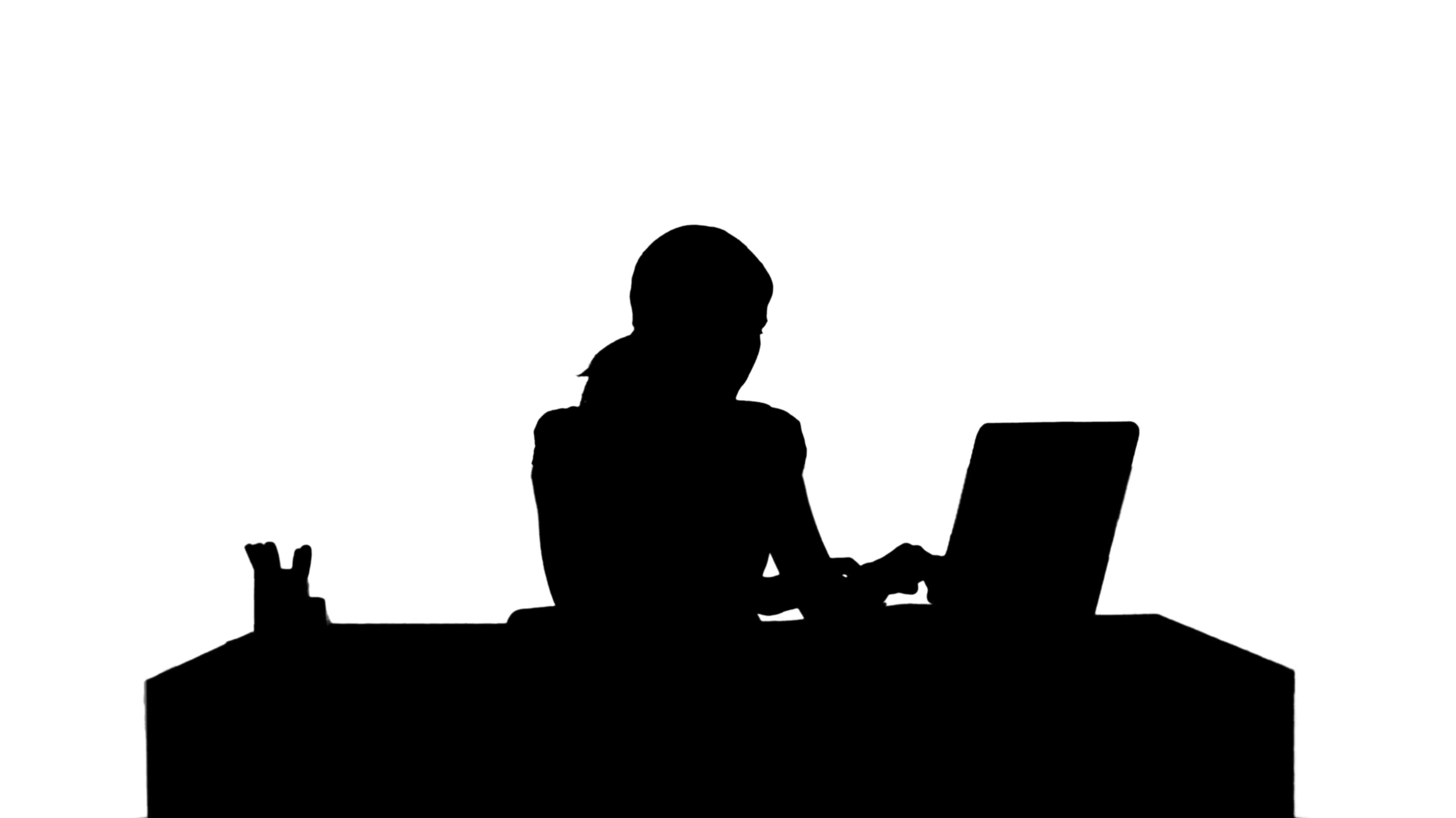 3840x2160 Silhouette Businesswoman Working On Laptop Stock Video Footage