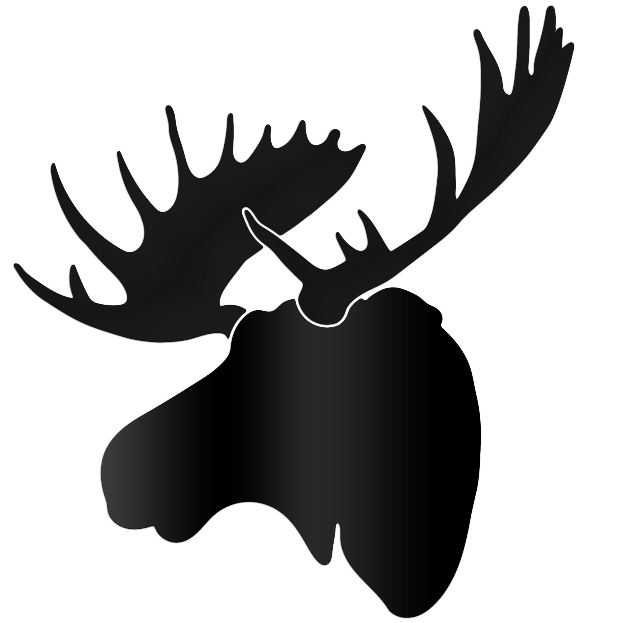 2000x2000 Our Midnight Moose Is One Of Several New Large Animal Mount Wall