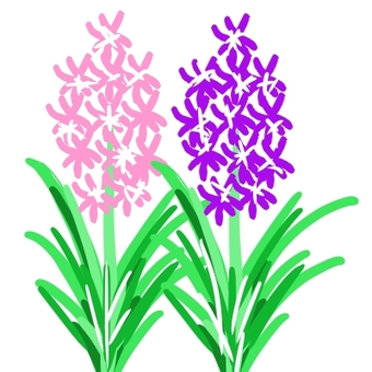 340x340 Free Cliparts Silhouette, Hyacinth