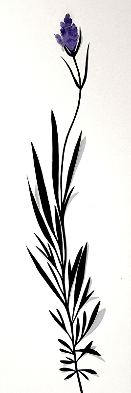 268x800 Joyce Yarbrough