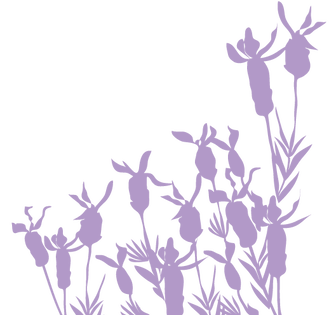 336x315 Lavender Art Studios Art And Yoga Workshops In Canberra