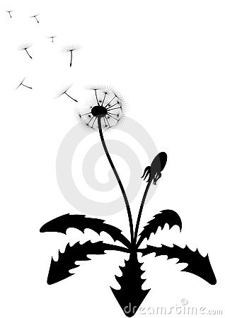 318x450 Dandelion Leaf Clipart
