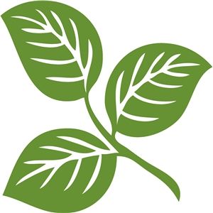 300x300 Leaves Silhouette Design, Silhouettes And Leaves