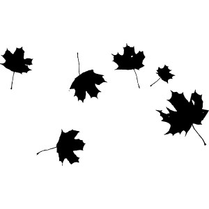 300x300 Black And White Silhouette Leaf