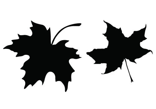 500x350 Decorate Your Dining Table With These Free Thanksgiving Leaf