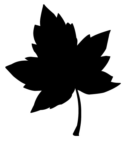 442x472 13 Graphic Leaf Silhouette Images