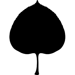 263x262 New Silhouettes Continents, Leaves, And More