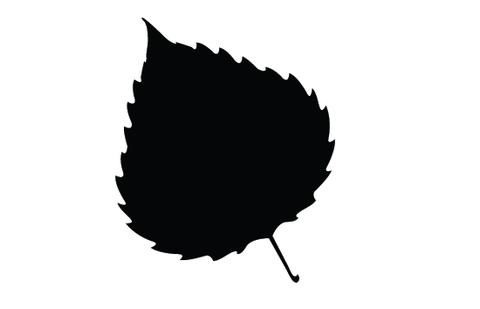 480x309 Leaf Silhouette Vectors Silhouettes Vector
