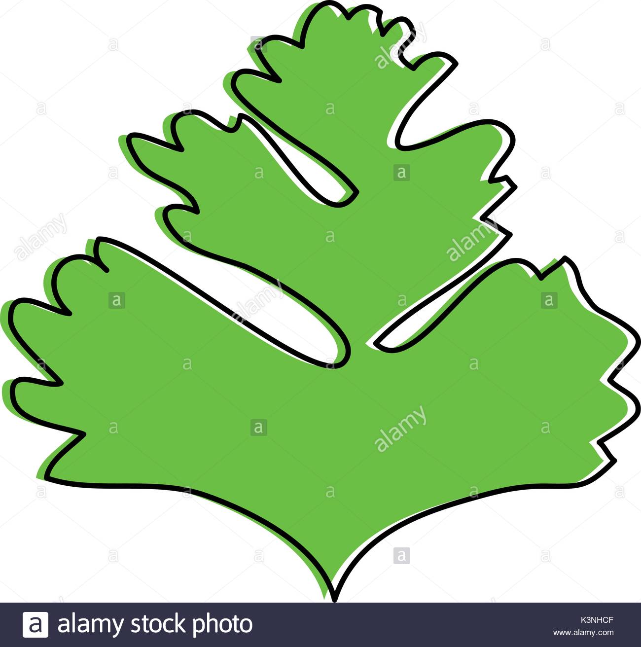 1300x1312 Parsley Leaves Silhouette Icon Vector Illustration Graphic Design