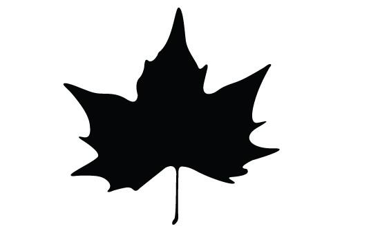550x354 Thanks Giving Leaf Silhouette Vector Silhouettes Vector