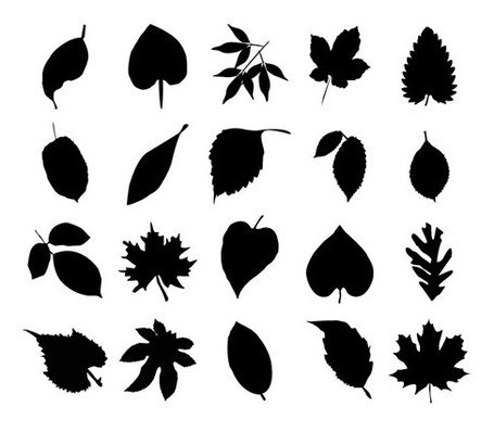 455x398 Vector Collection Of Leaf Silhouettes, Clipart