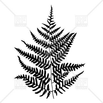 400x400 Fern Leaf Silhouette On White Background Royalty Free Vector Clip