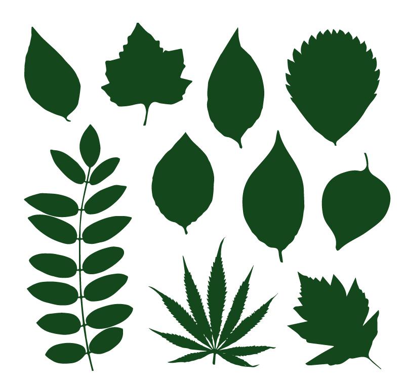 800x757 Green Leaf Silhouette Vector [Ai]