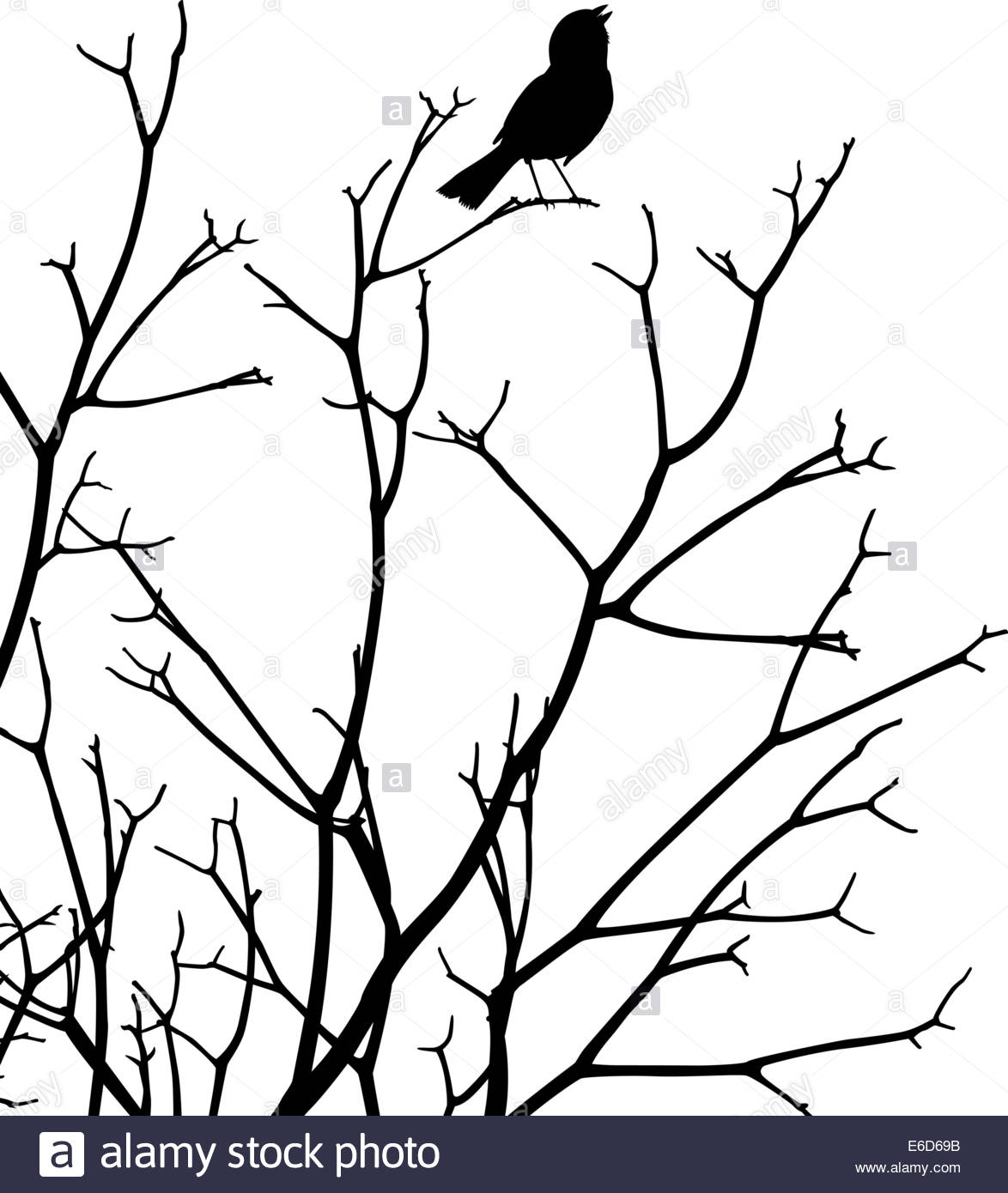 1174x1390 Editable Vector Silhouette Of A Bird Singing