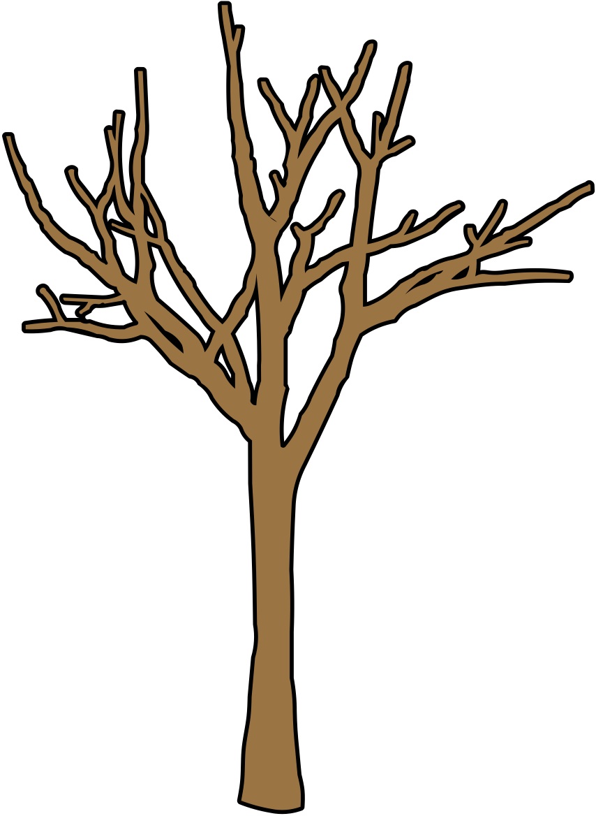 854x1168 Simple Tree Without Leaves Clipart