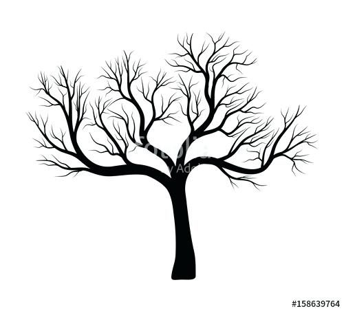 500x452 Bare Tree Outline