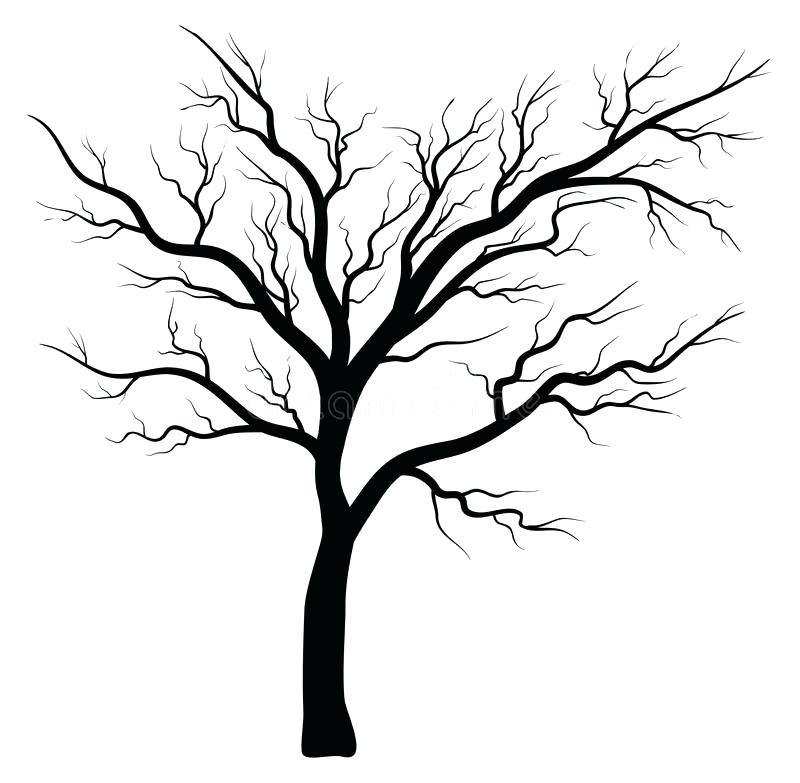 800x783 Bare Tree Silhouette Vector Symbol Icon Design Stock Vector