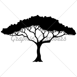 325x325 Leafy Tree Silhouette Gl Stock Images
