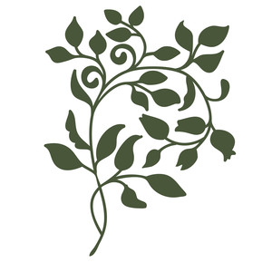 300x300 Silhouette Design Store