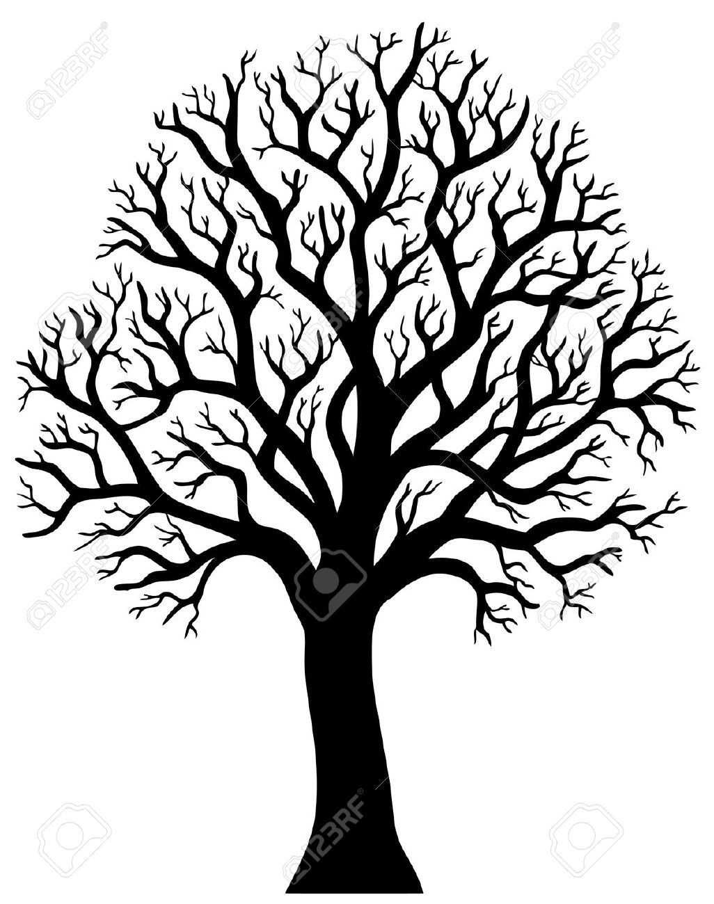 1026x1300 Silhouette Of Tree Without Leaf