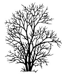 236x278 Image Result For Magic Fairy Tree Silhouette Tree Silhouette